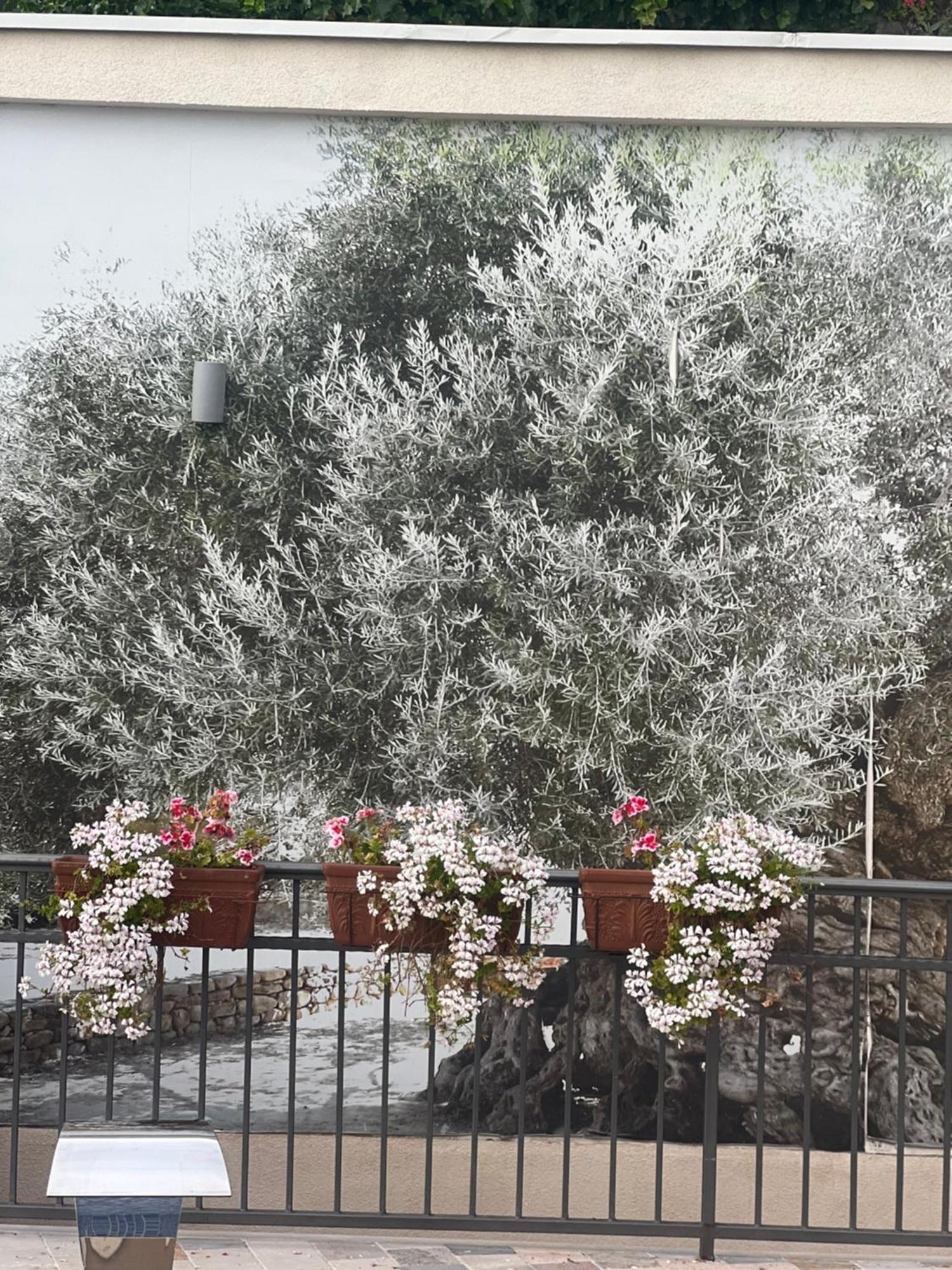 קוטור Villa Nikoleta מראה חיצוני תמונה