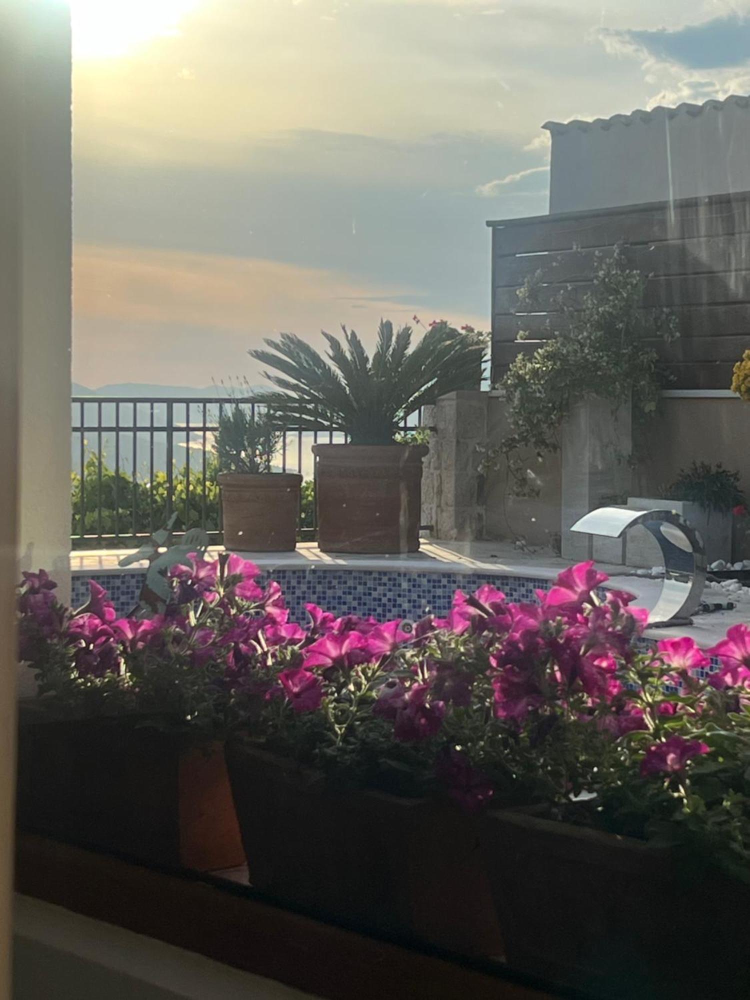 קוטור Villa Nikoleta מראה חיצוני תמונה